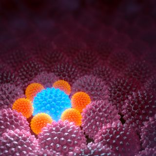 Promovarea regenerării țesutului